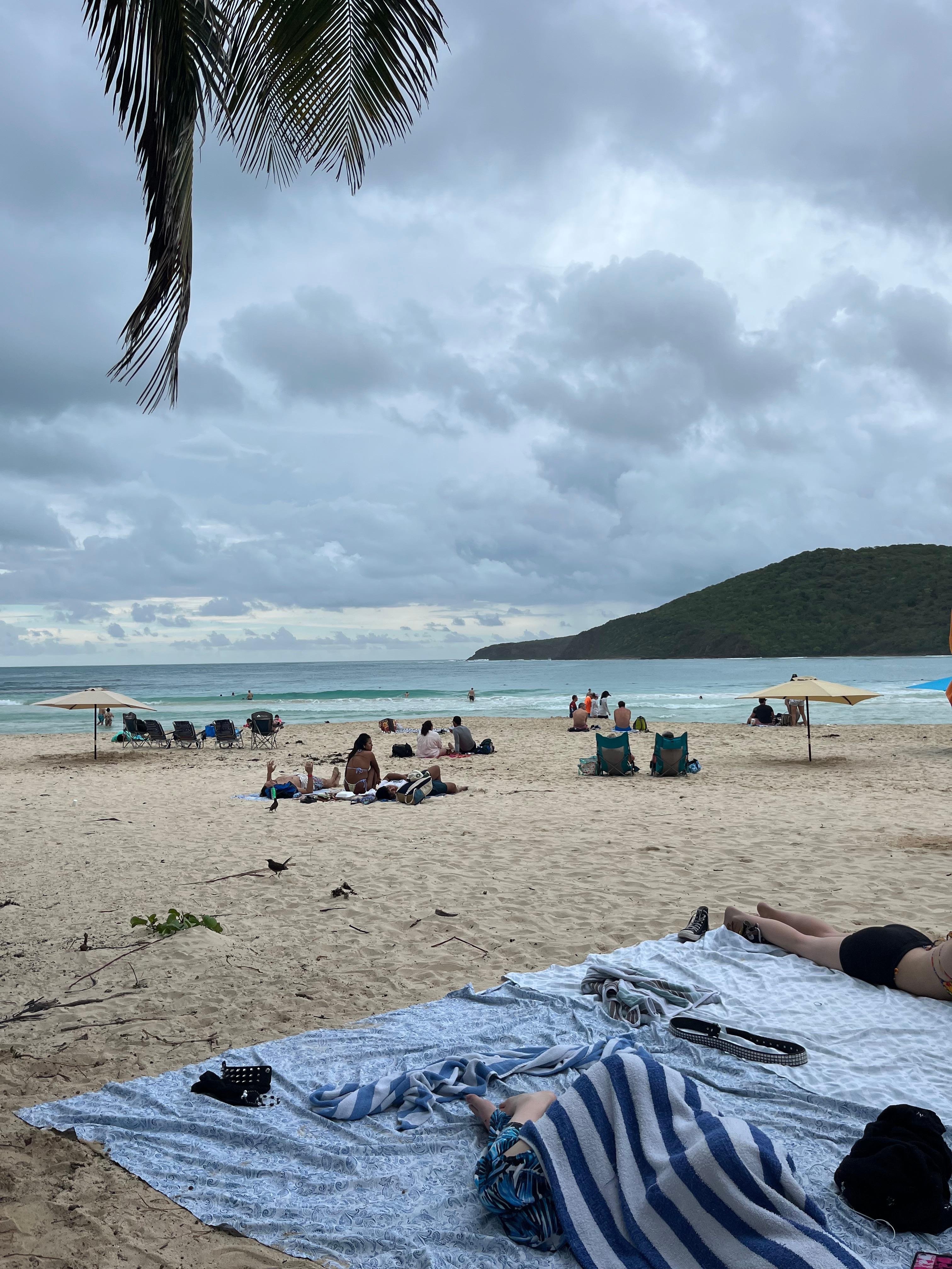 On the beach out back