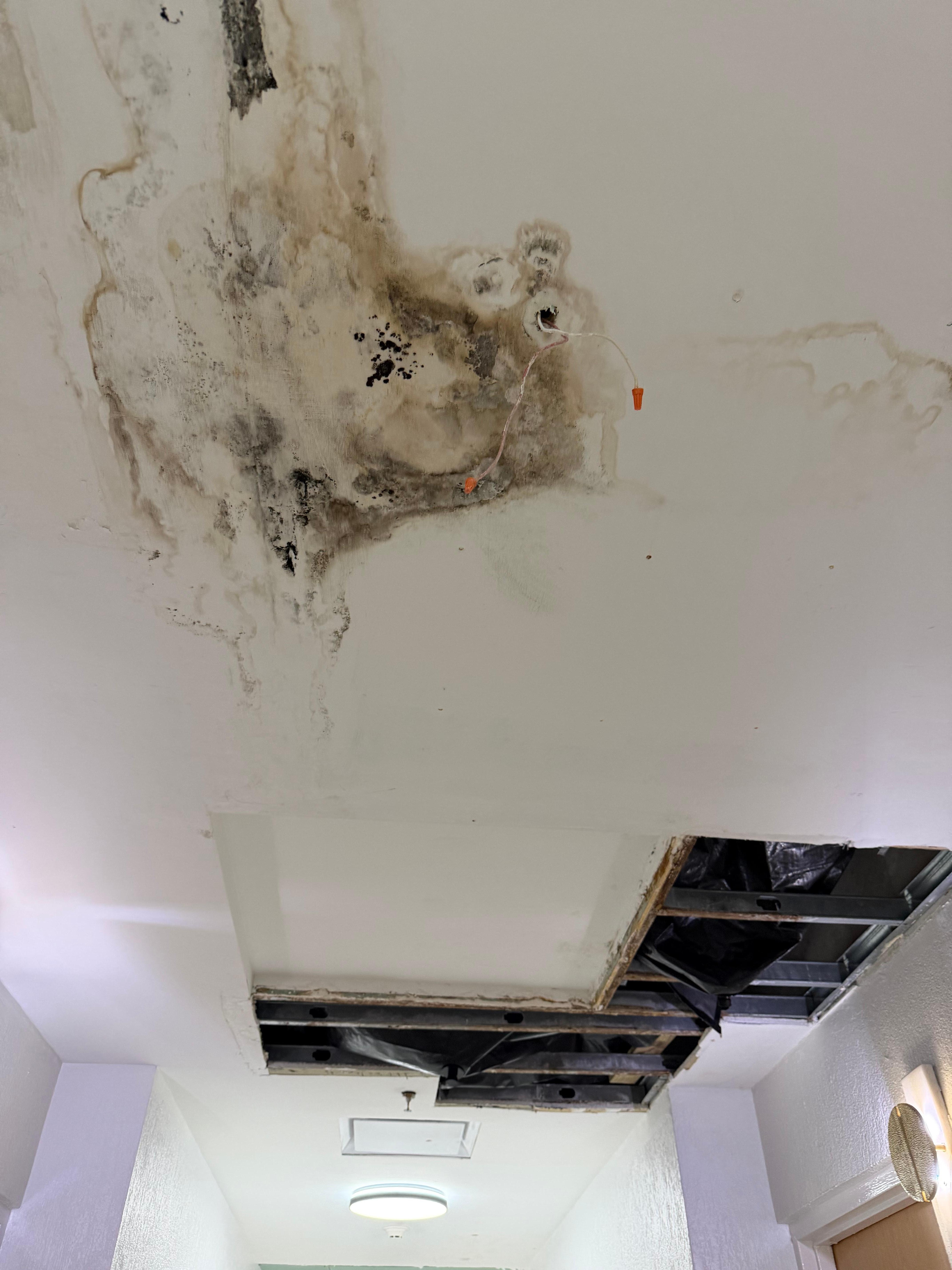 Hallway ceiling falling mold exposed 