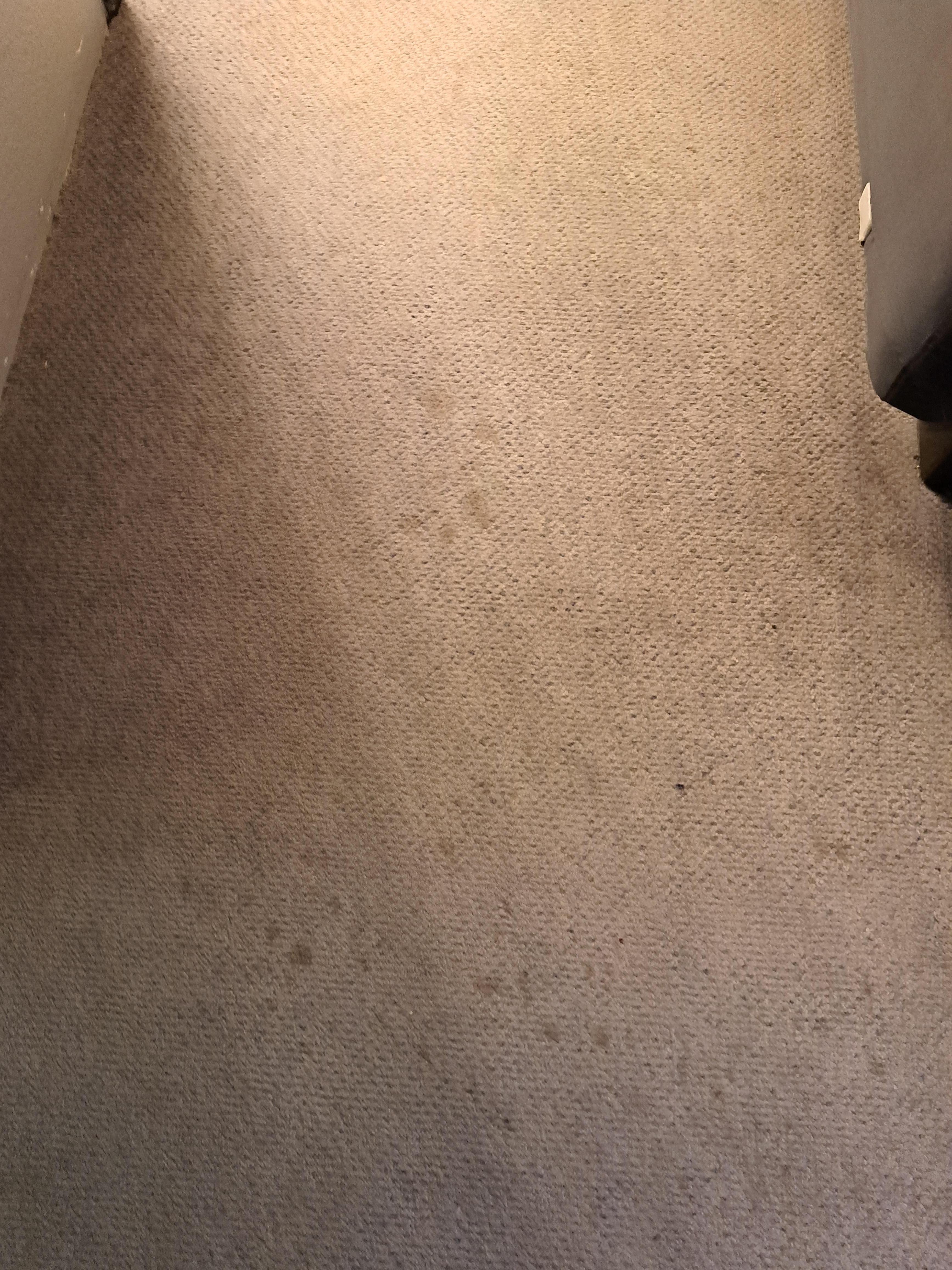 Dirty carpet