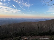 View from the porch
