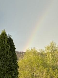 Loved the rainbow following a thunderstorm