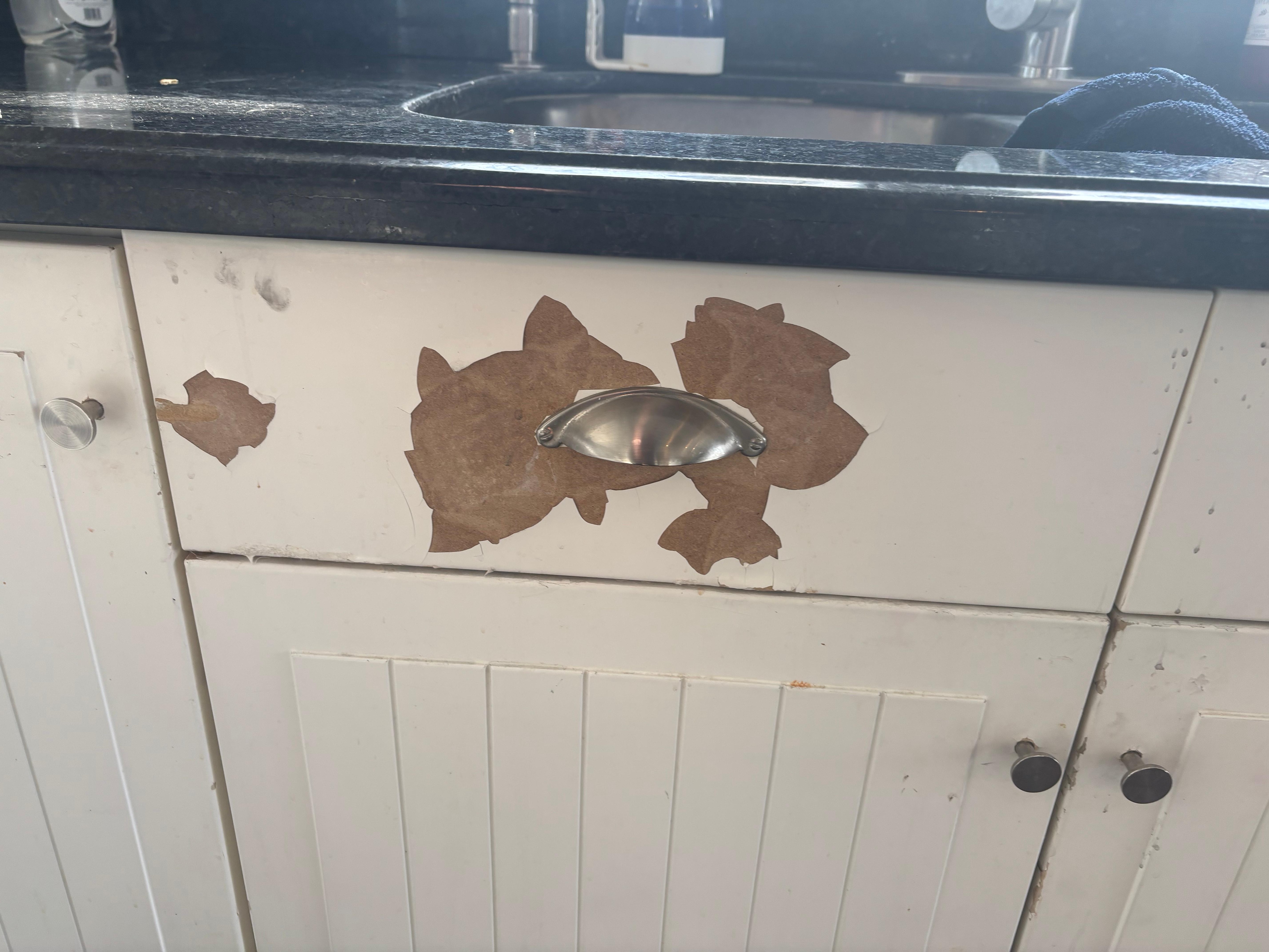 Kitchen cabinets in terrible condition