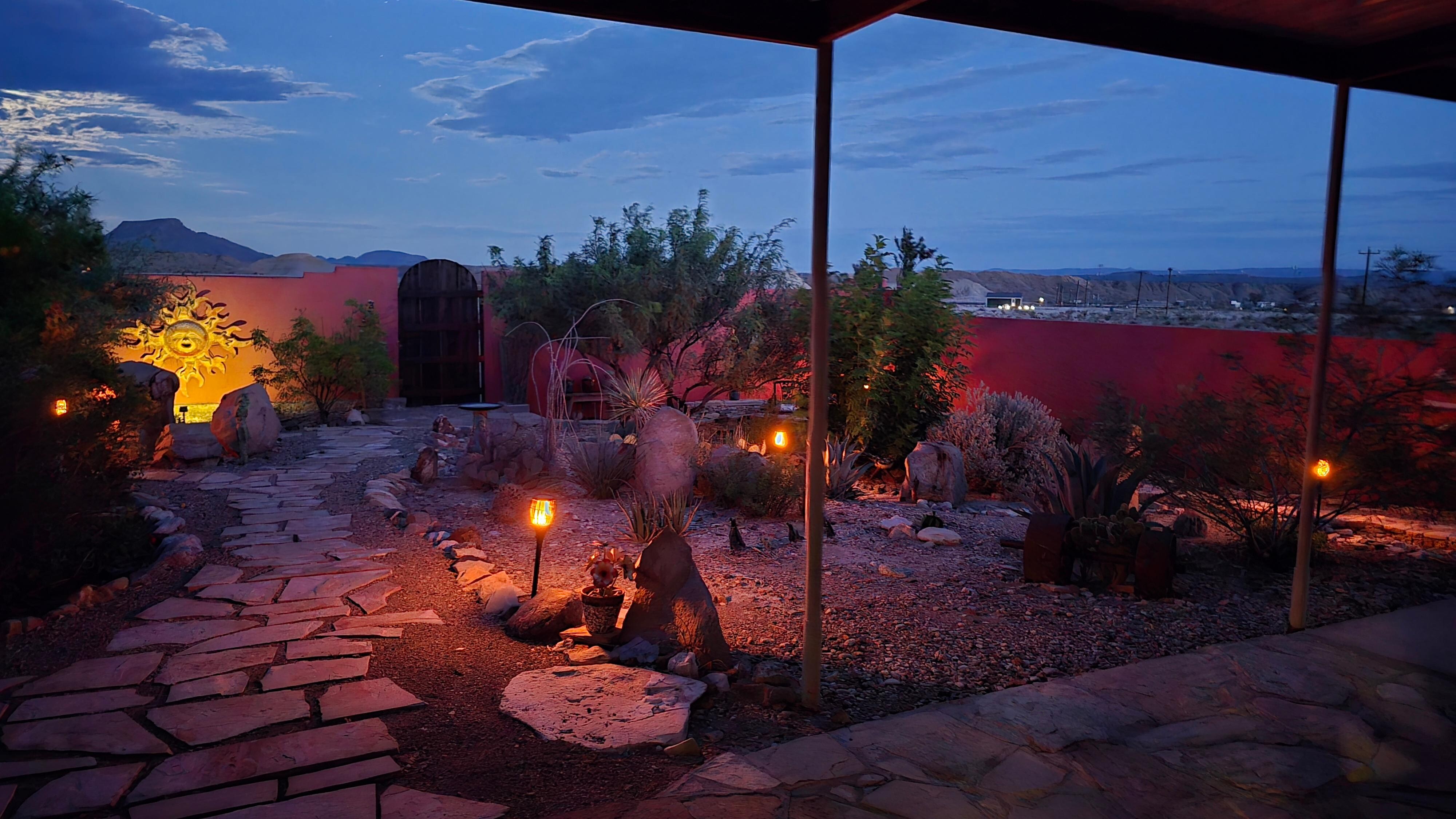 Nighttime garden view. 