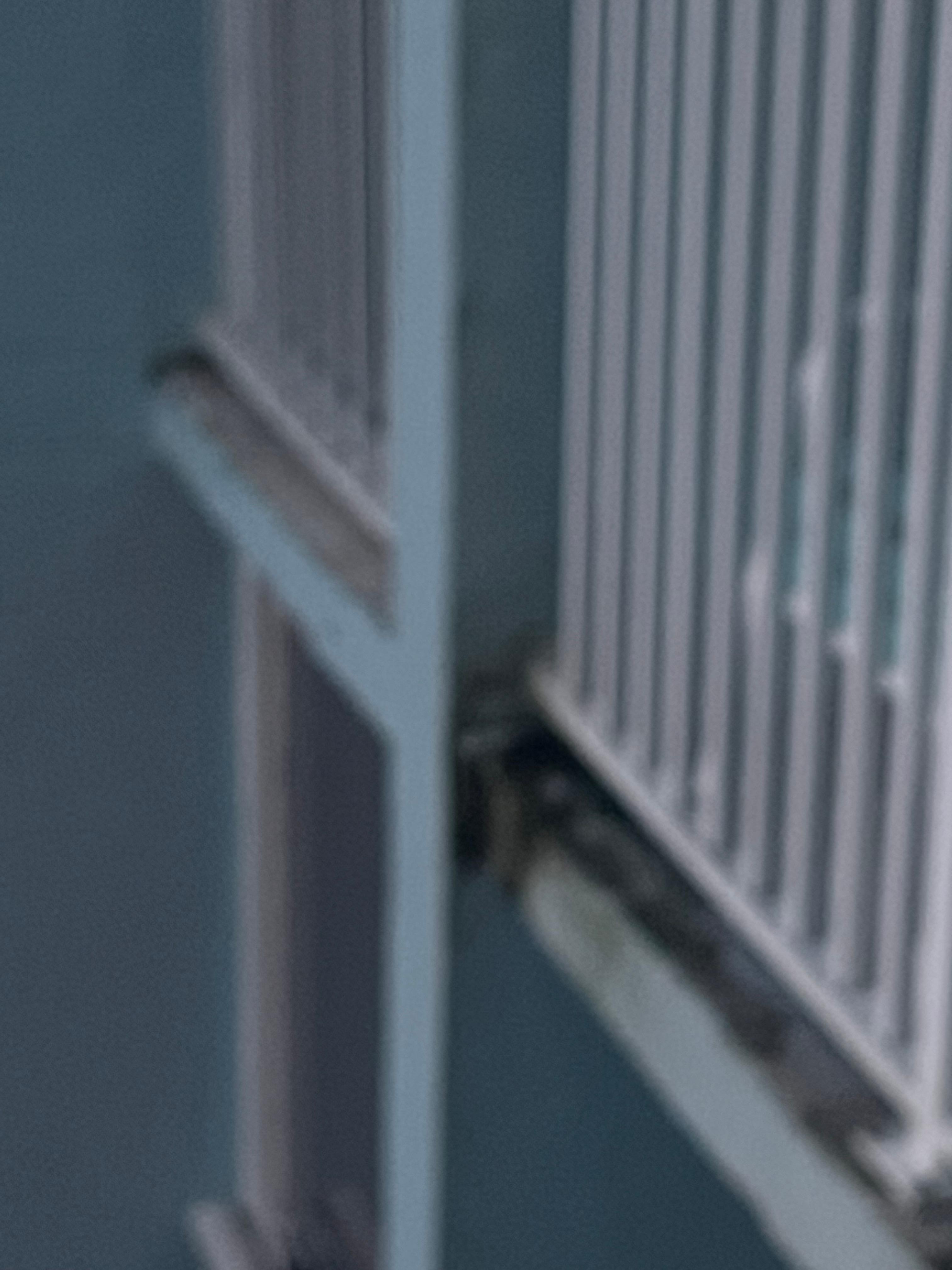 Mold from balcony below ours