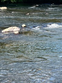 Toccoa river tubing