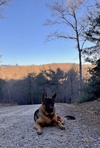 Beautiful views! Walking in the neighborhood of the cabin.