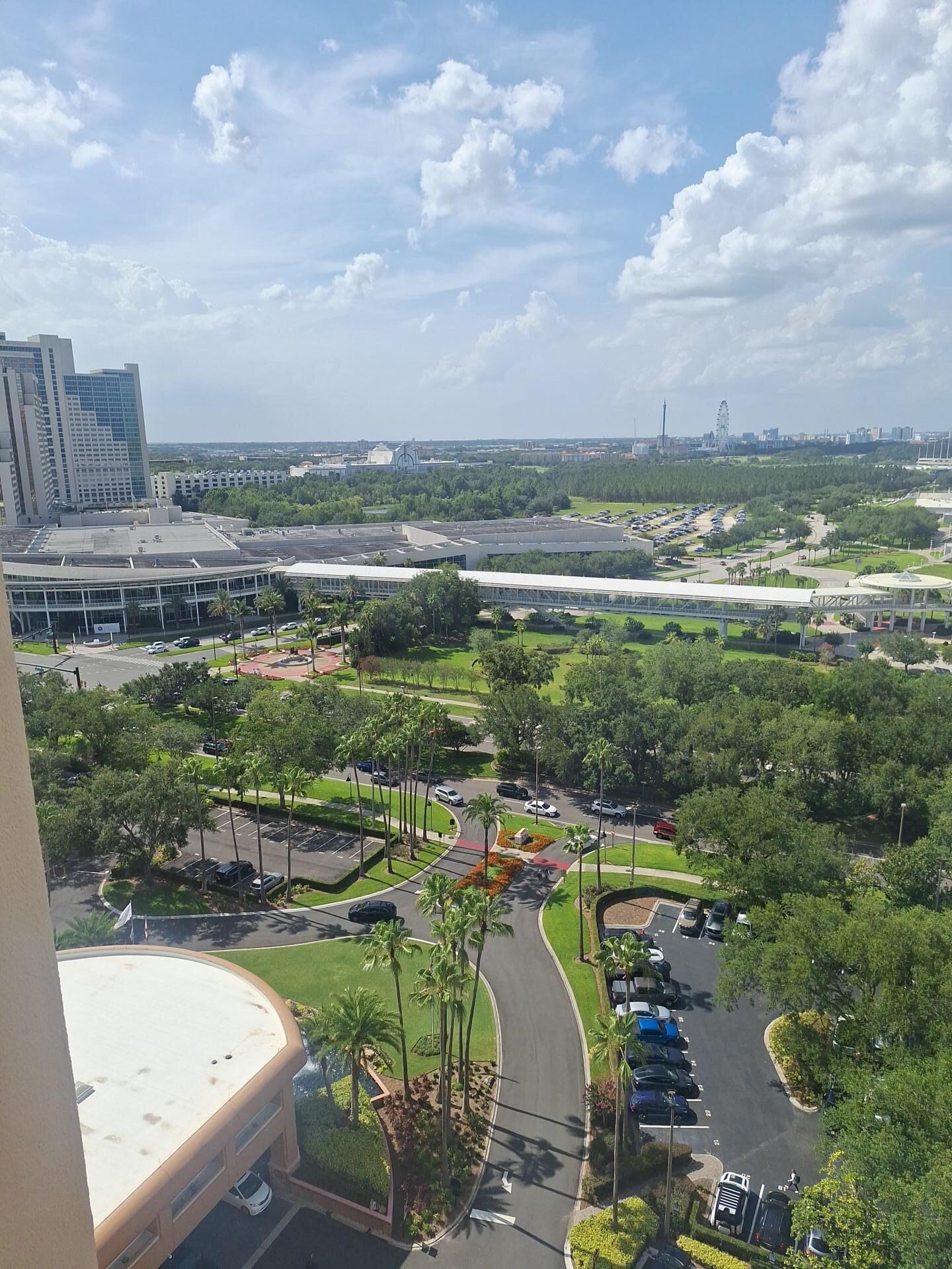 My view from my room