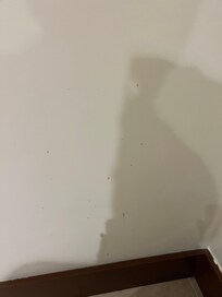 Feces or throw up on the wall in the bathroom of our room