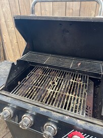 Moldy grill