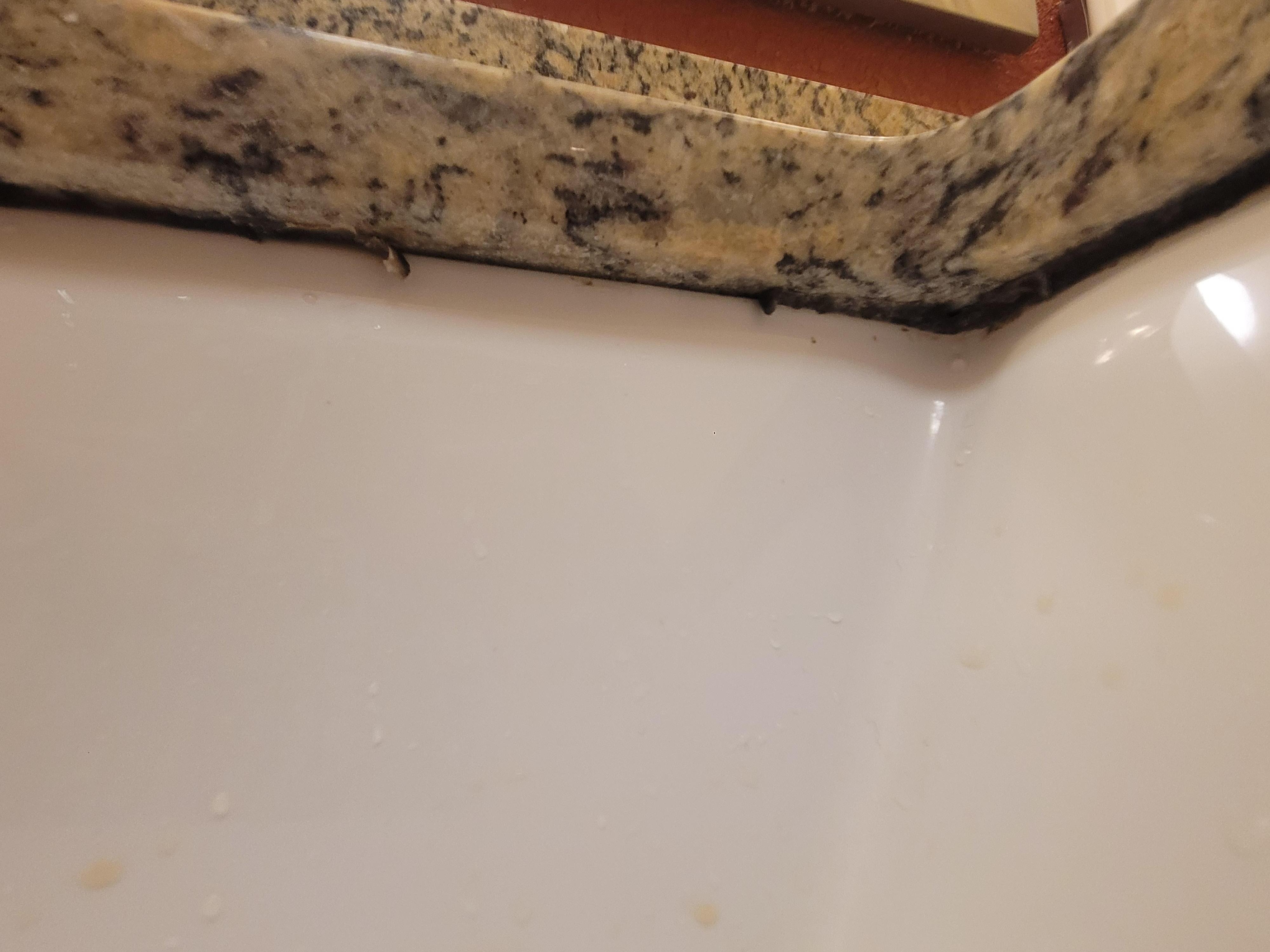 Mold on sink in bathroom