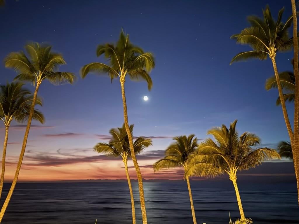 Nighttime view from the lanai