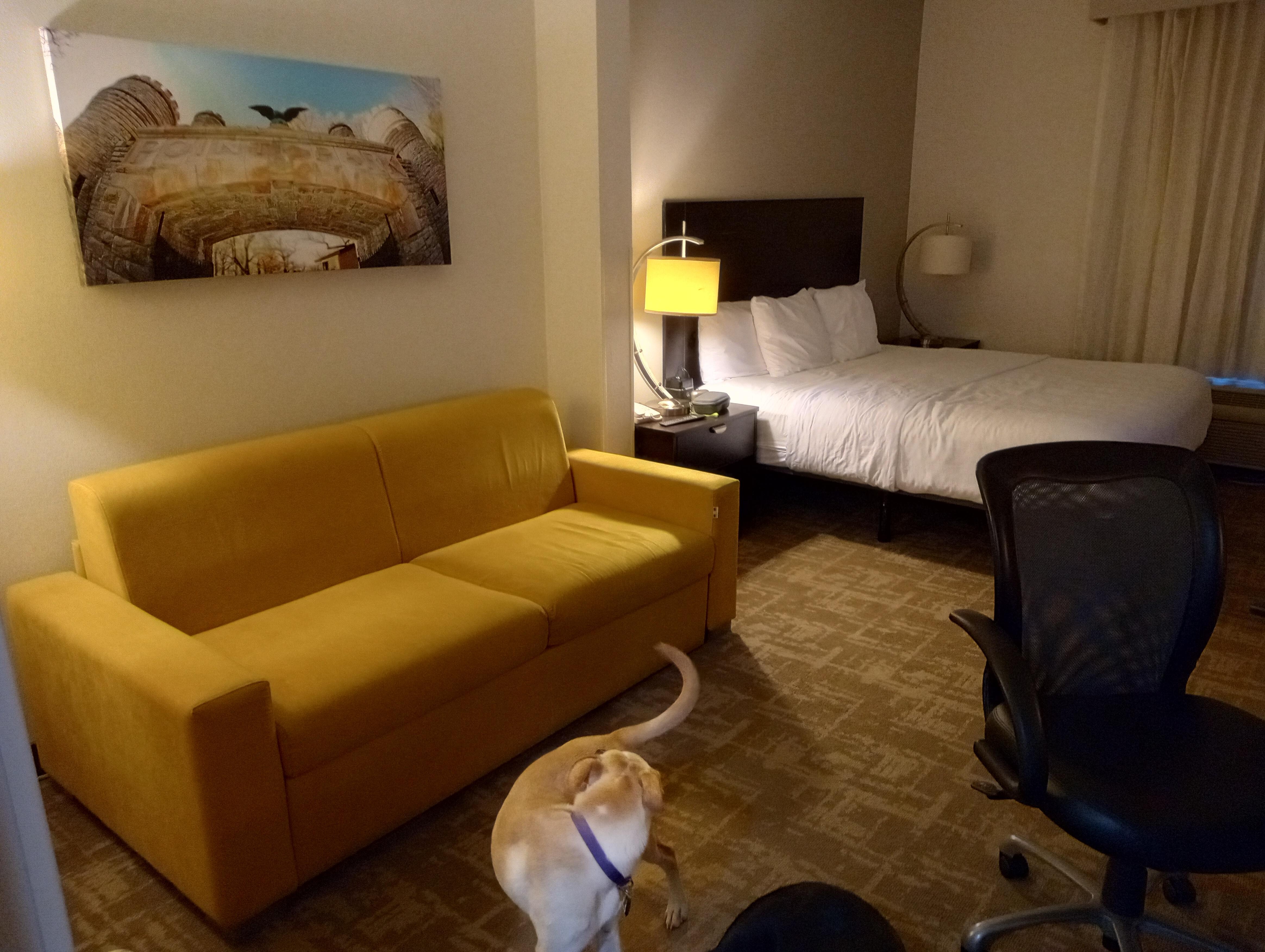 King bed and couch !