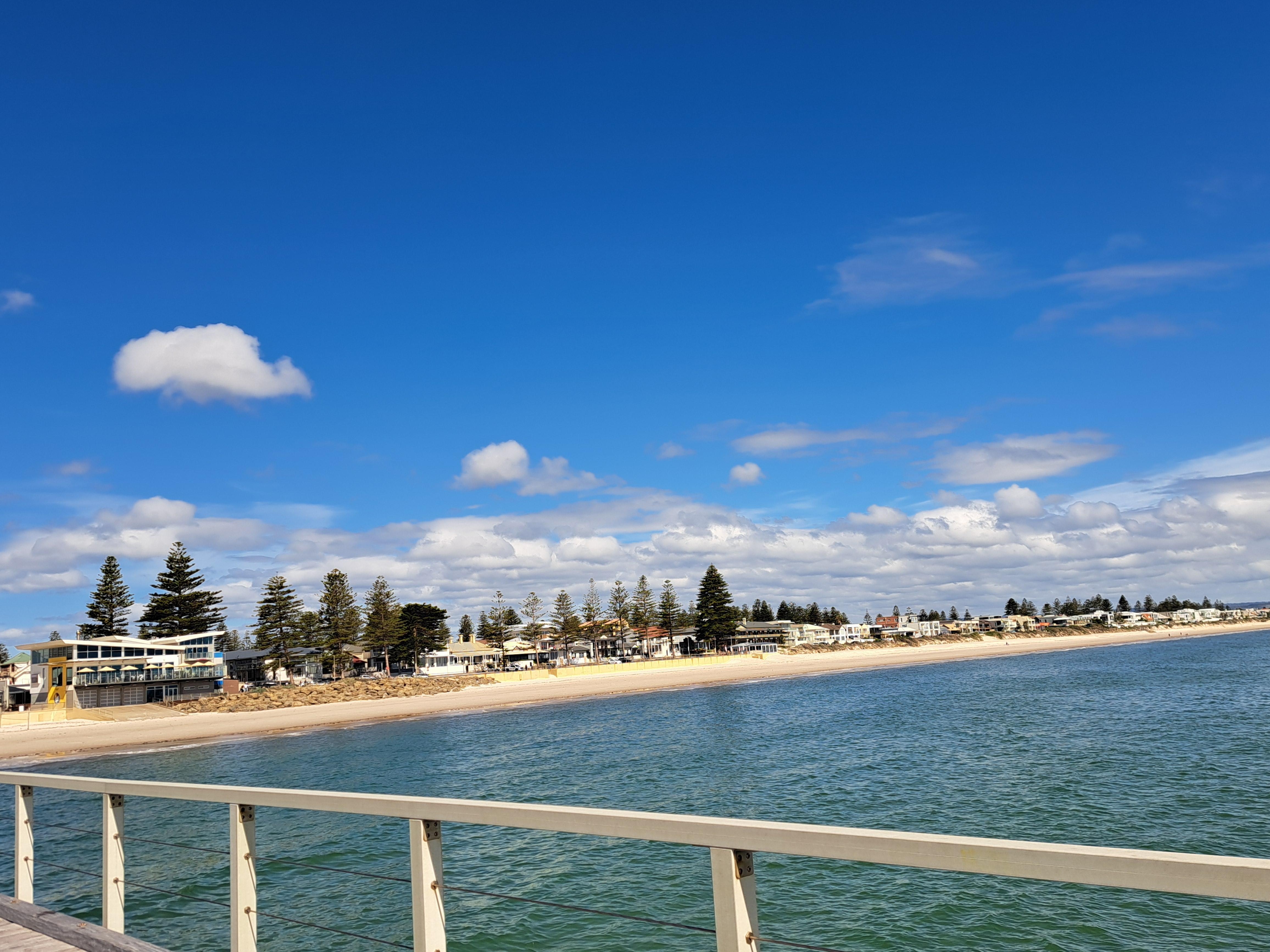 From the Jetty st Henley Beach looking to the shore. We had a pod og Dolphins swim up & under the jetty and being playful. The children were delighted.
