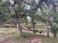Hammock