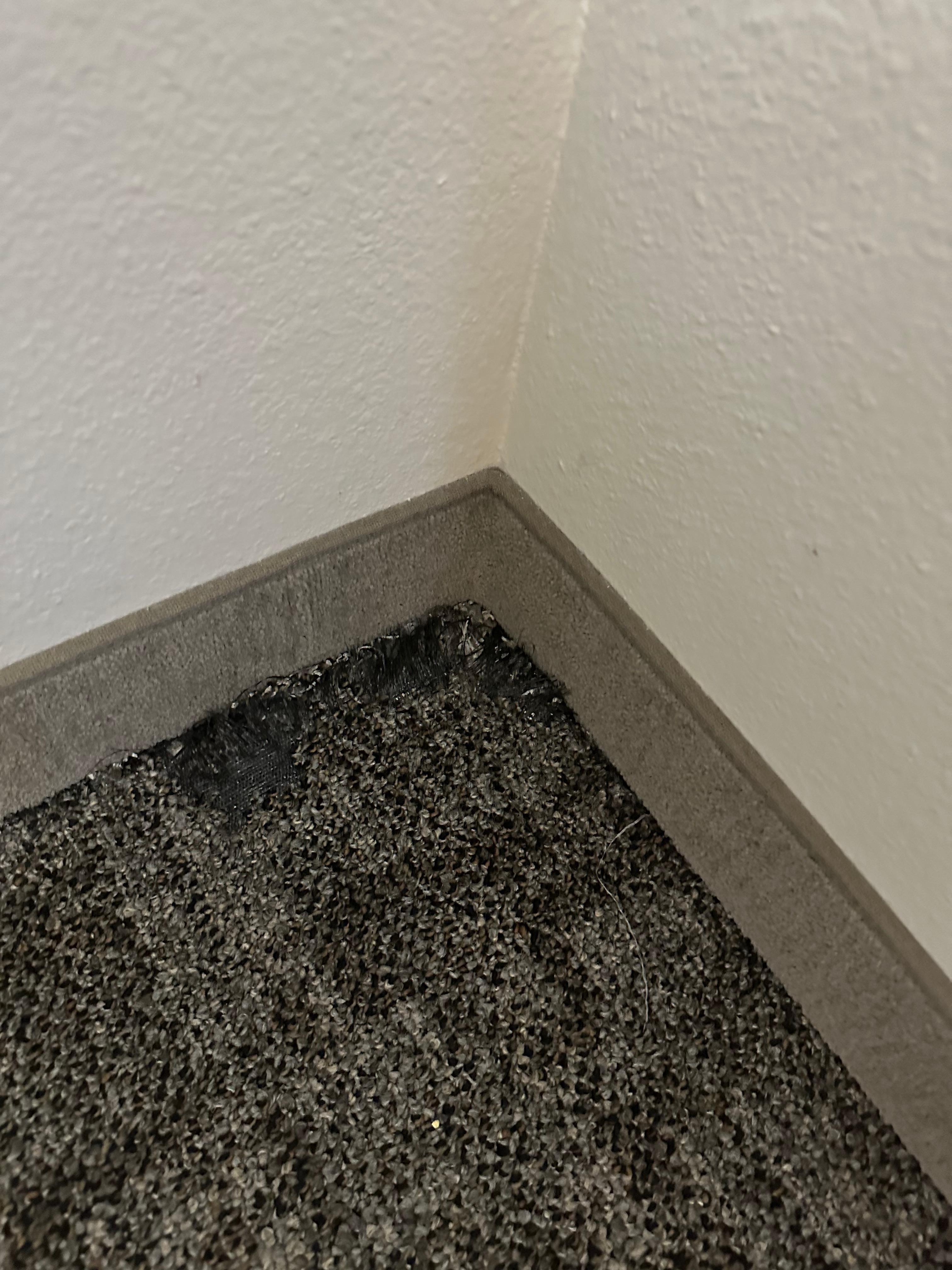 Carpet torn right as we entered the room 