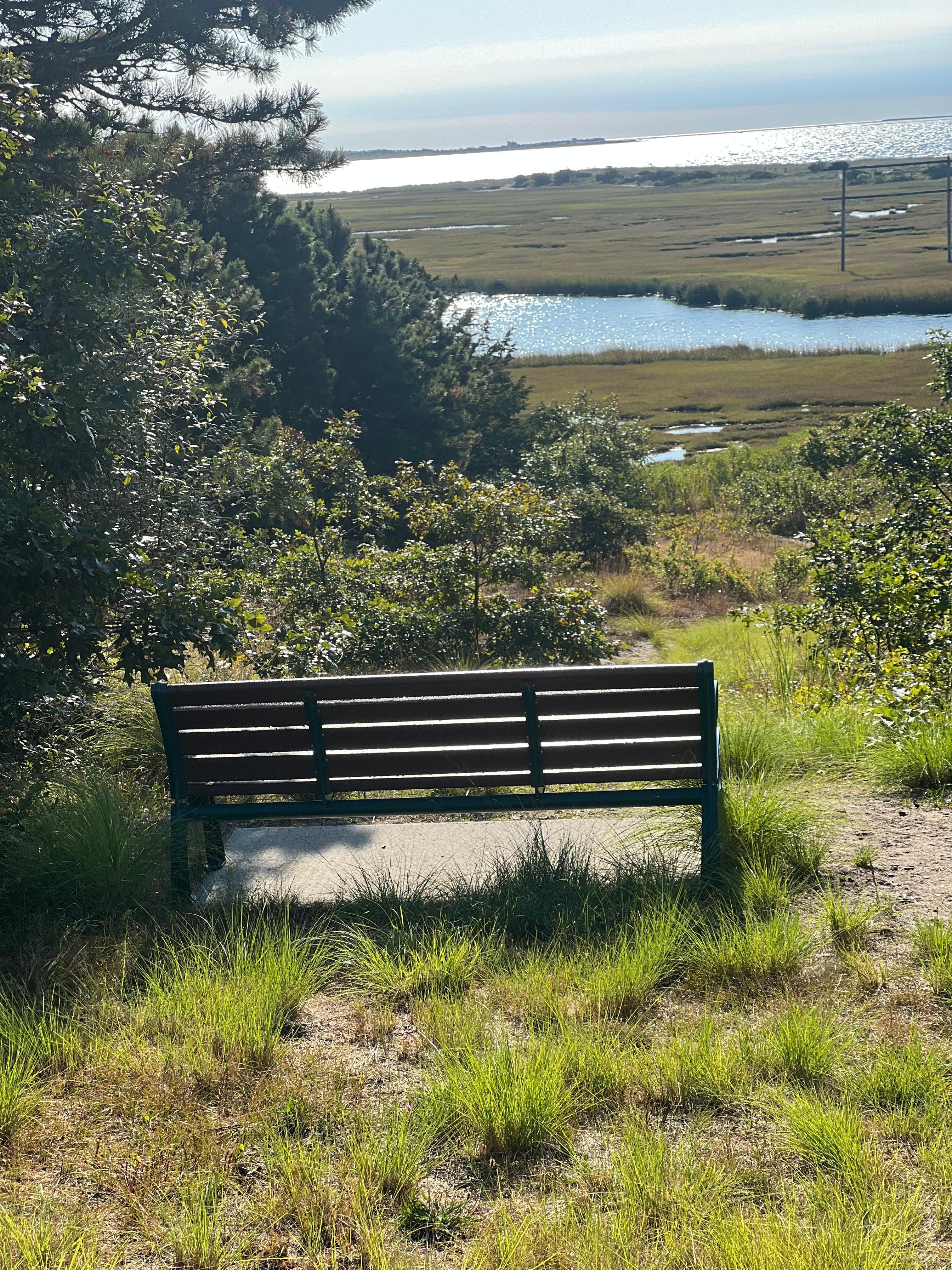 Forest Beach overlook