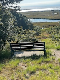 Forest Beach overlook