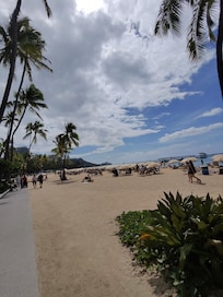 3 min walk to lagoon park