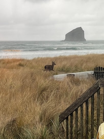View from
deck and living room.