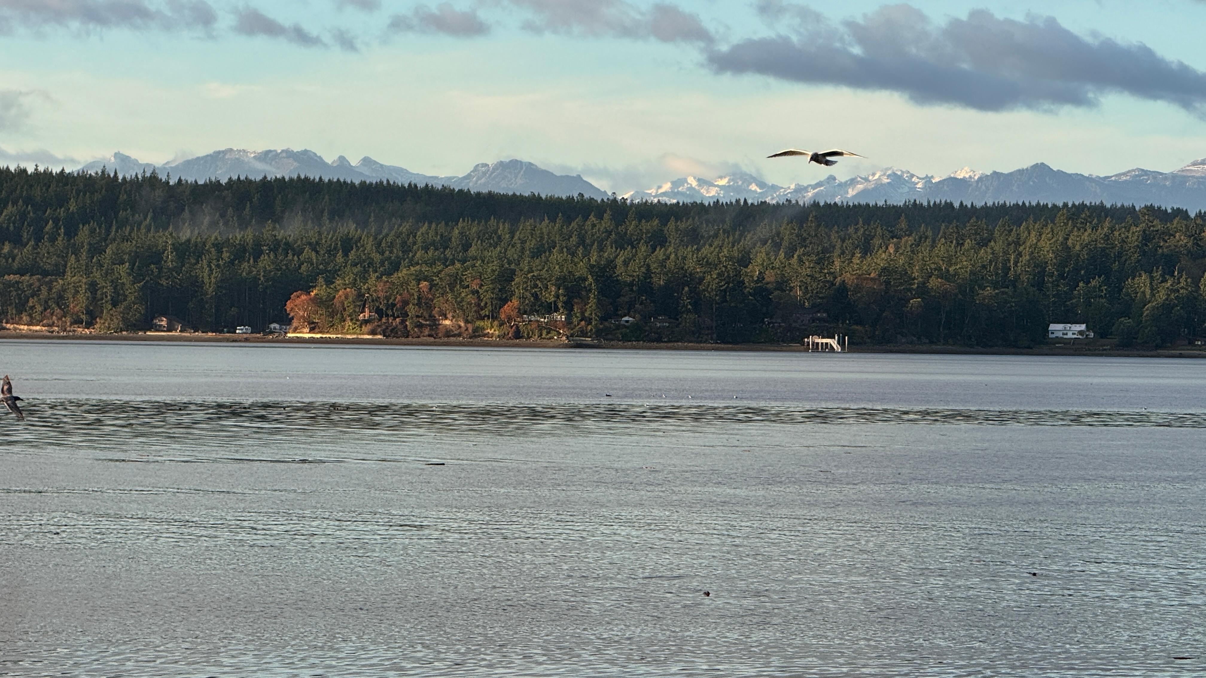 From the beach at the cottage