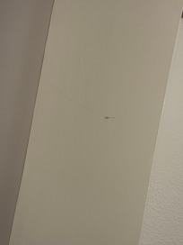 Spinnennetz über dem Bett