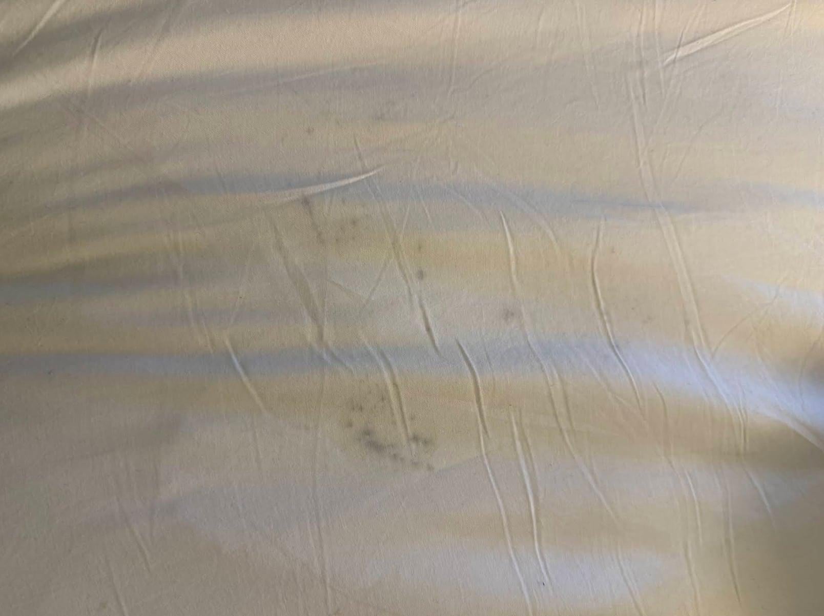 day 2 - Maid came in and ingnored the stains, just remade the bed