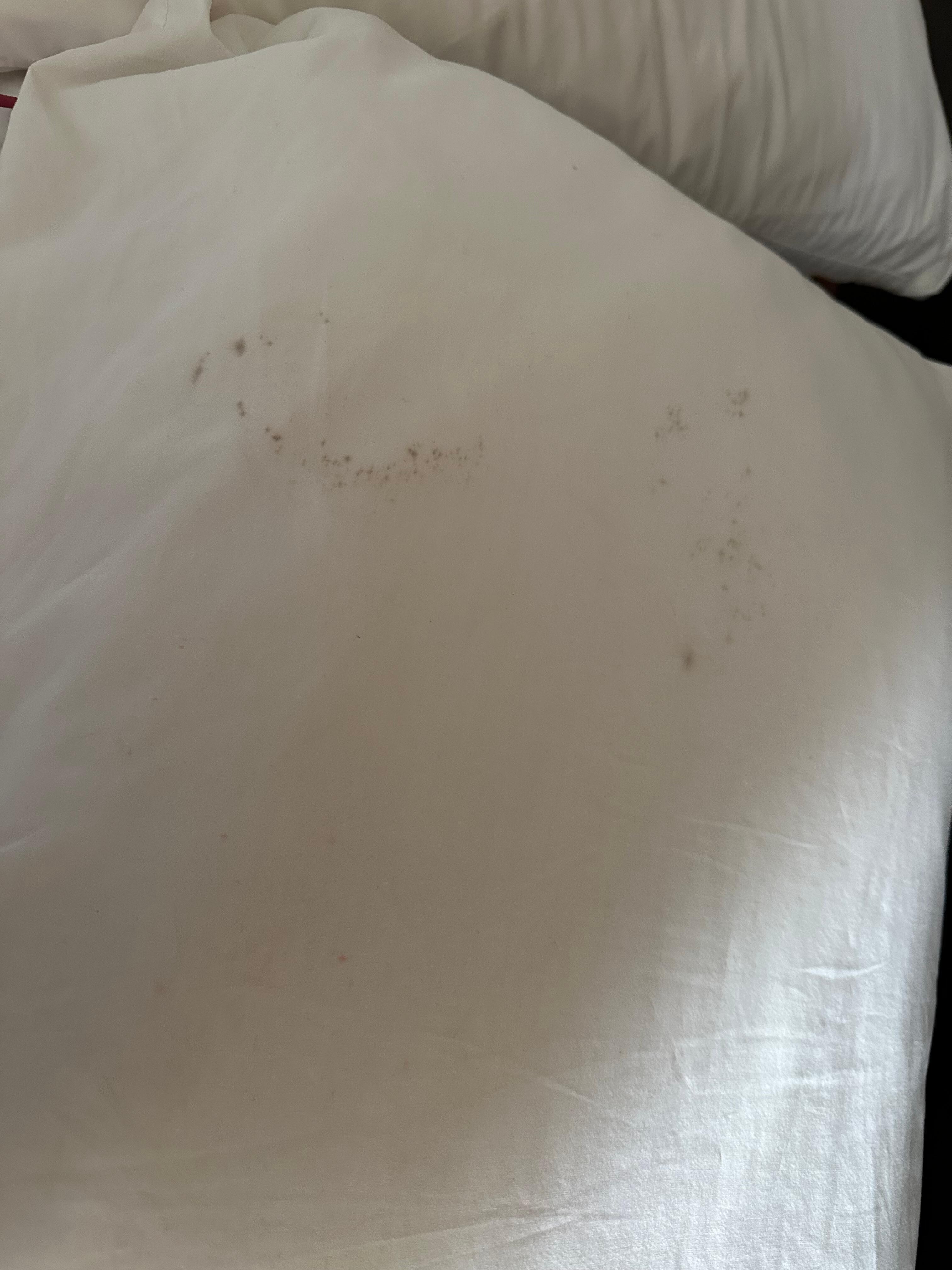 The pillow cases had what looked like old mildew on them!