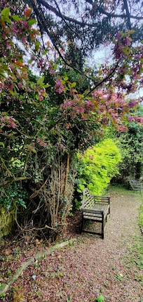 Jardim traseiro