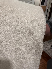 Hair on towel