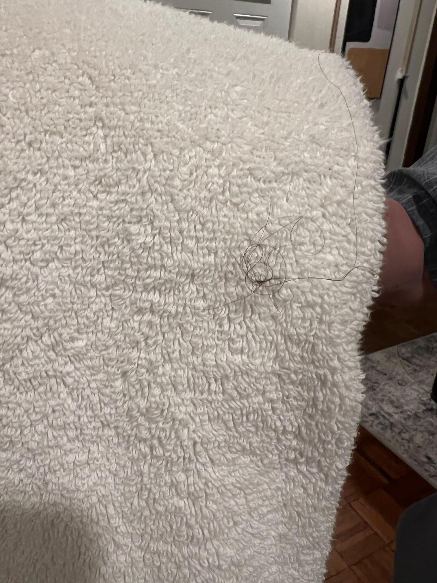 Hair on towel