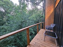 I loved bird watching on the back deck.
