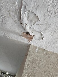 The sheet rock was crumbling from a leak in the ceiling and was all over the carpet from not ever being vacuumed.