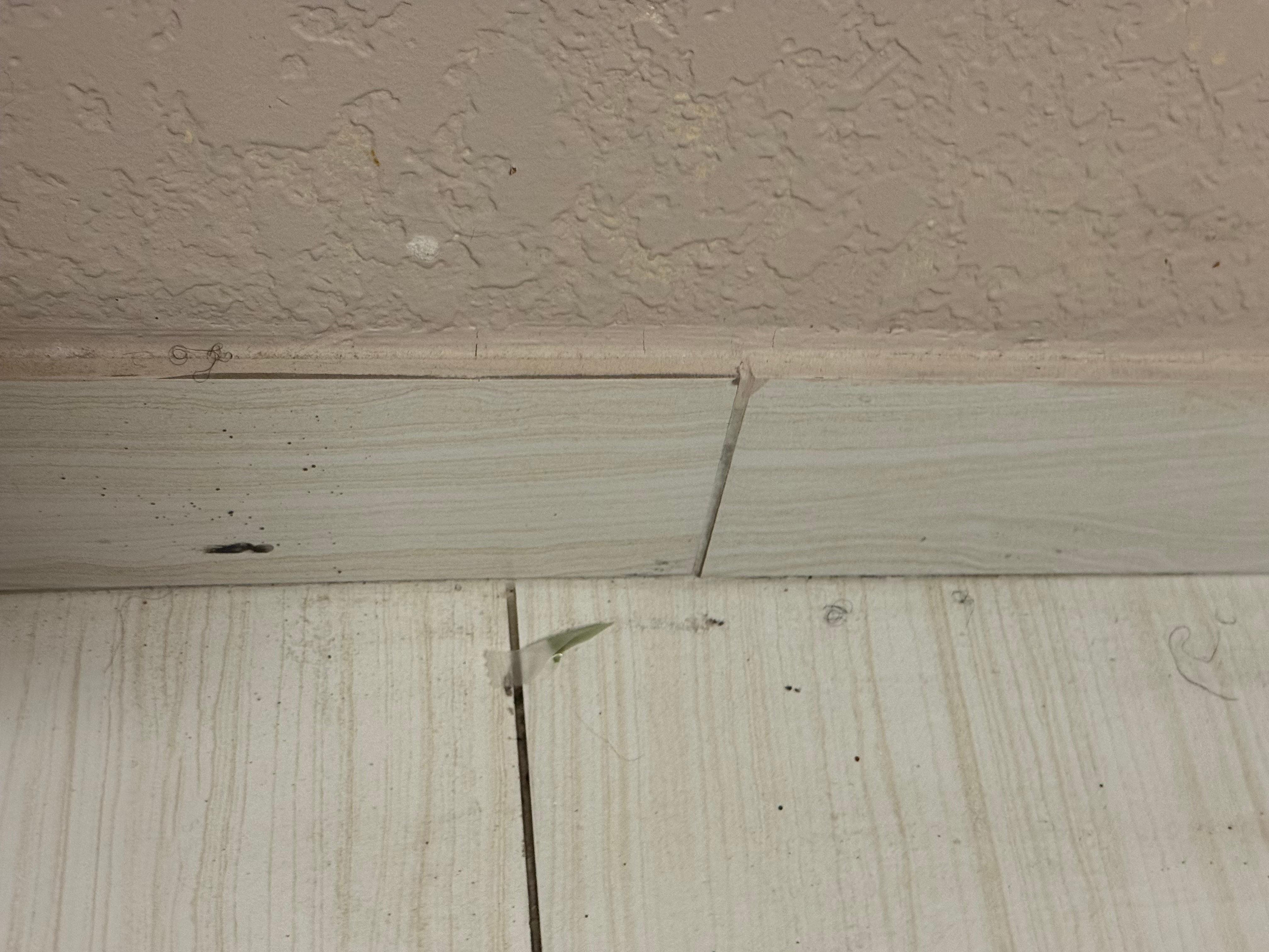 Floor corners were full of uncleaned dusts