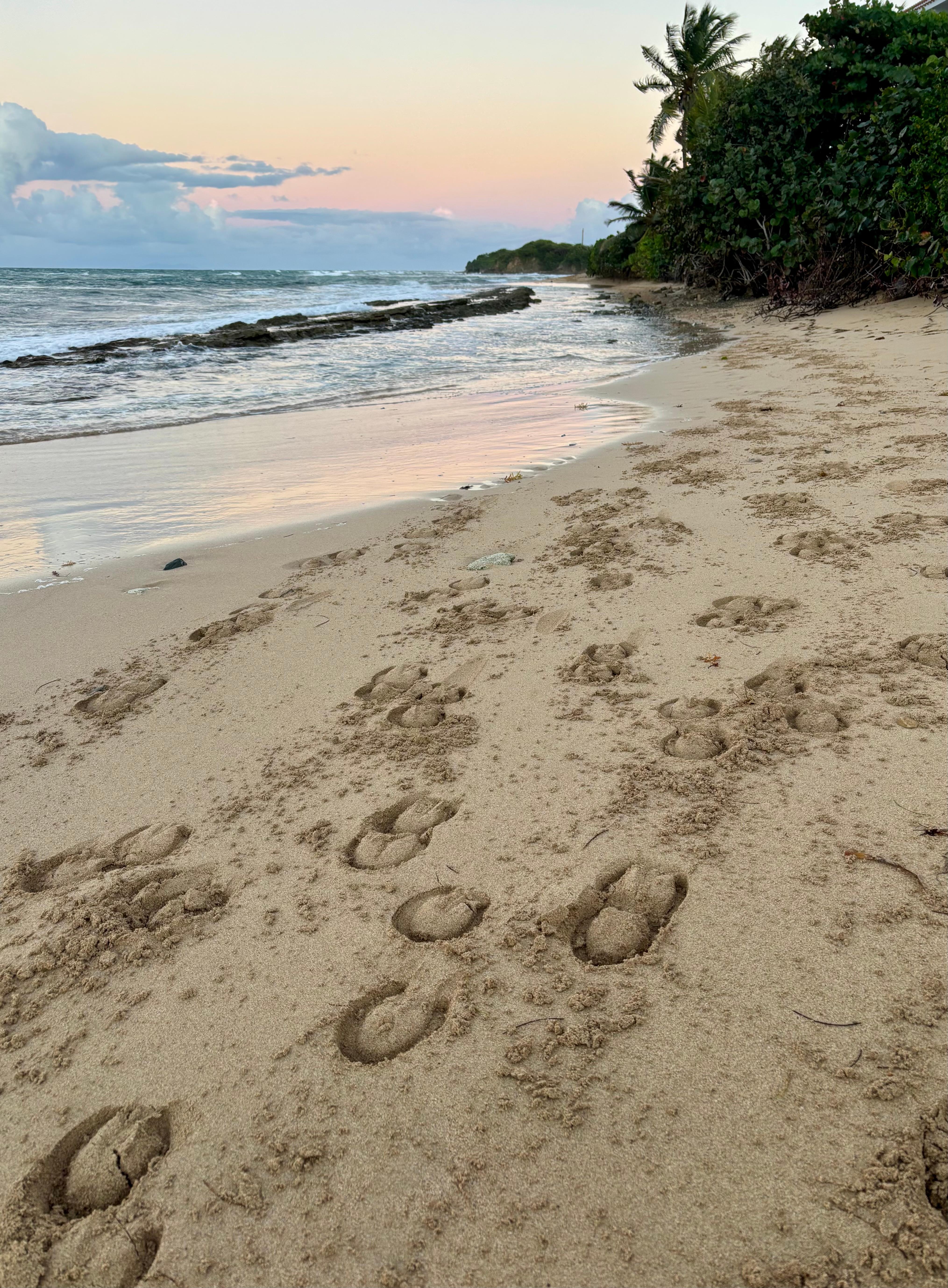 La Chata Beach - 2 minute walk from the house 