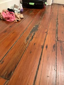 Floor saturated in urine