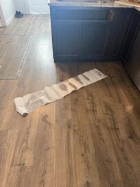 This is the toilet water that was leaking into the kitchen even AFTER the plumber FIXED on the third day of our four day trip