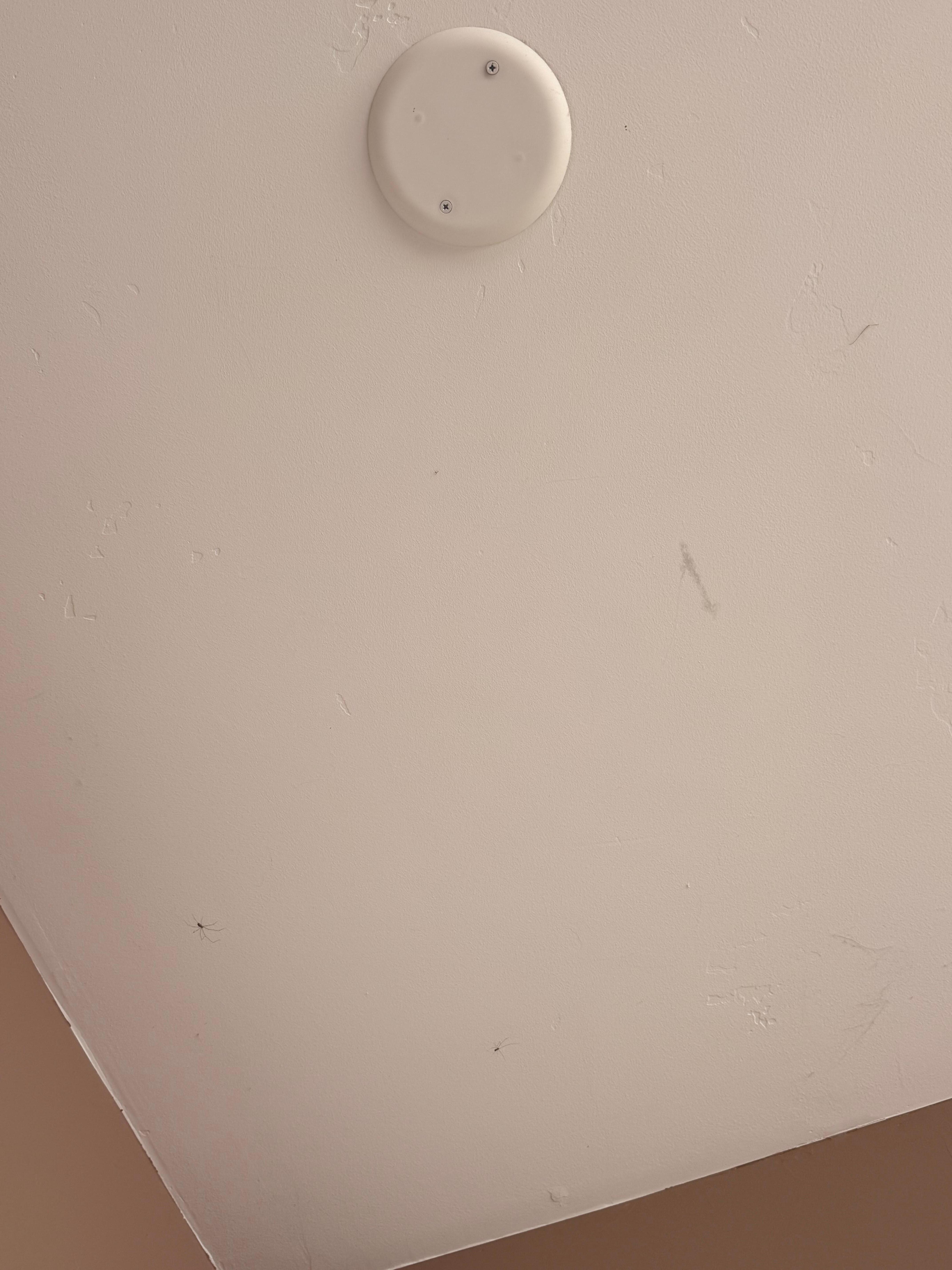 Broken extremely dirty fans