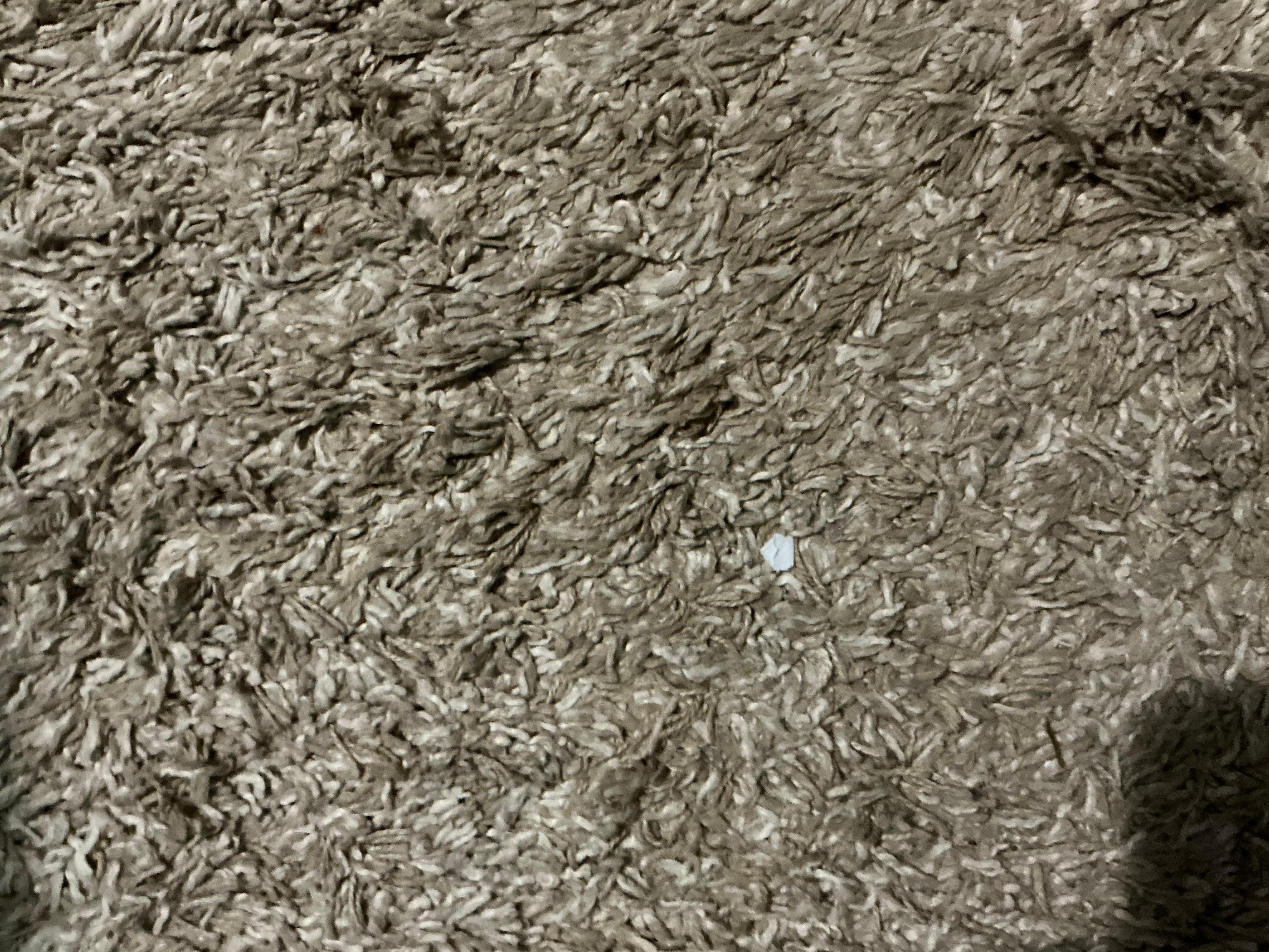 Throw rug in living room