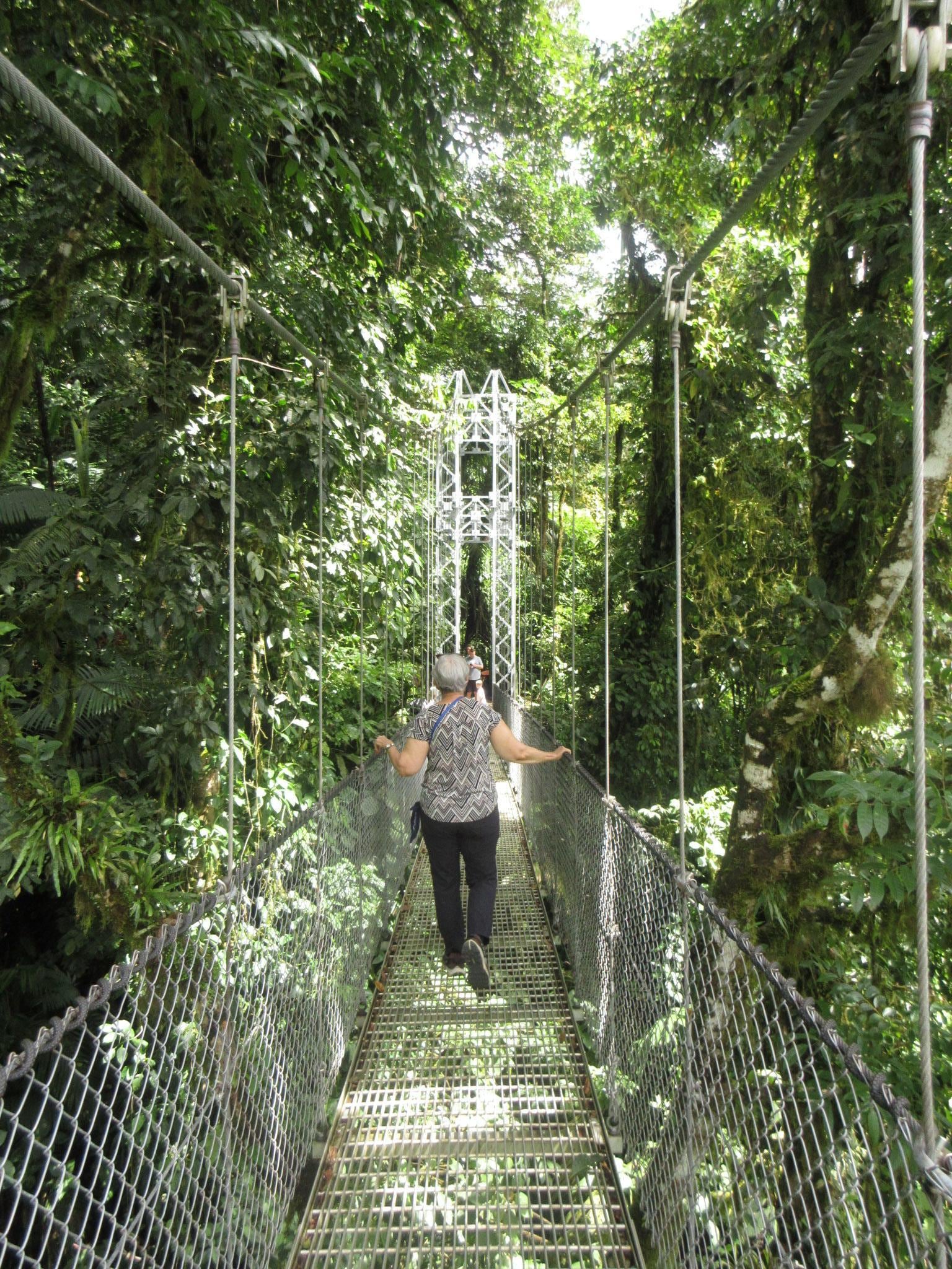 Mistico Hanging Bridges