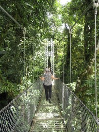 Mistico Hanging Bridges
