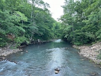 Panther creek