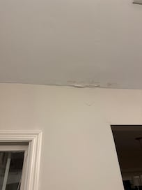 Peeling paint from leaky roof