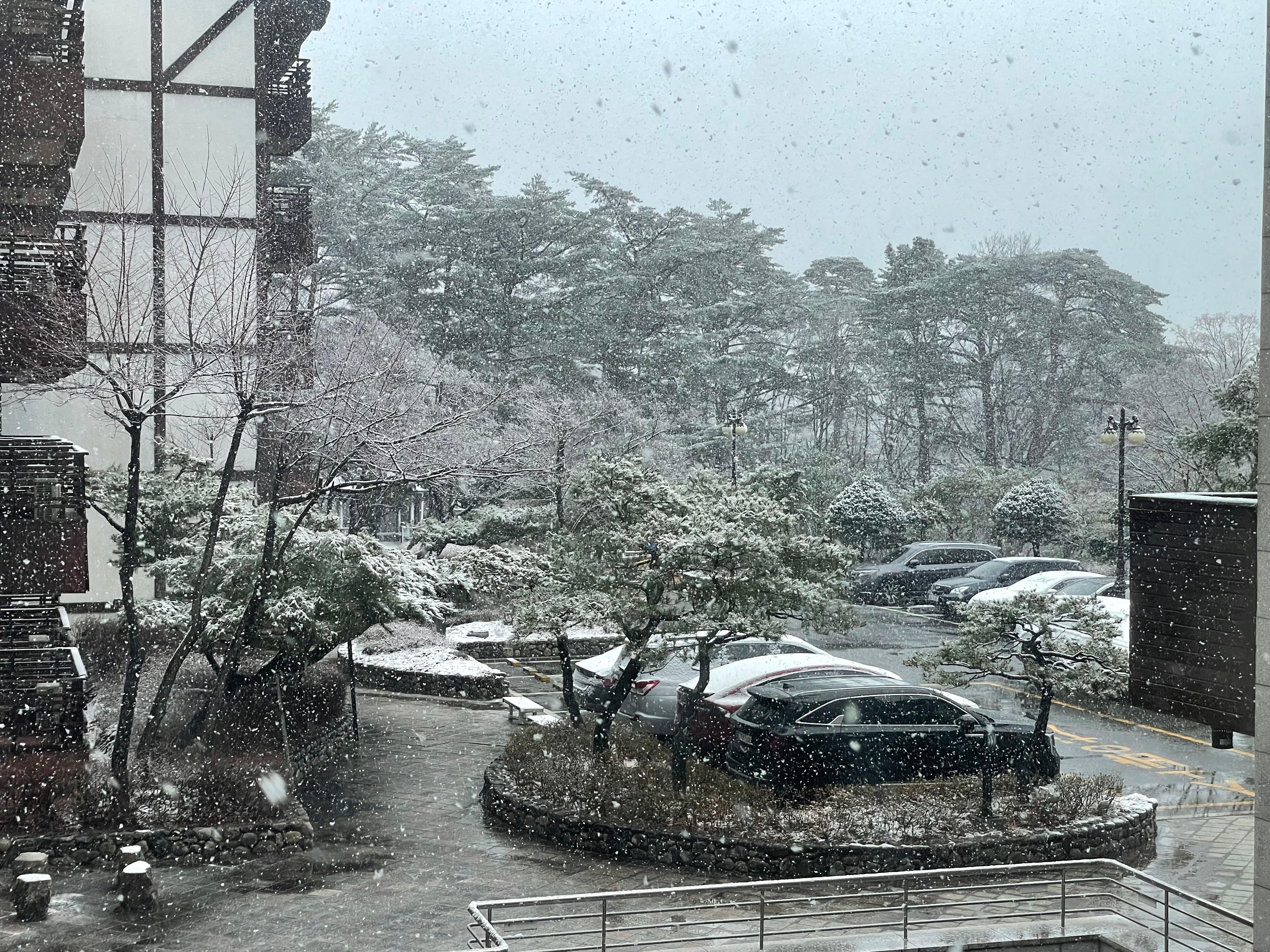 마침 눈이와서 좋았다