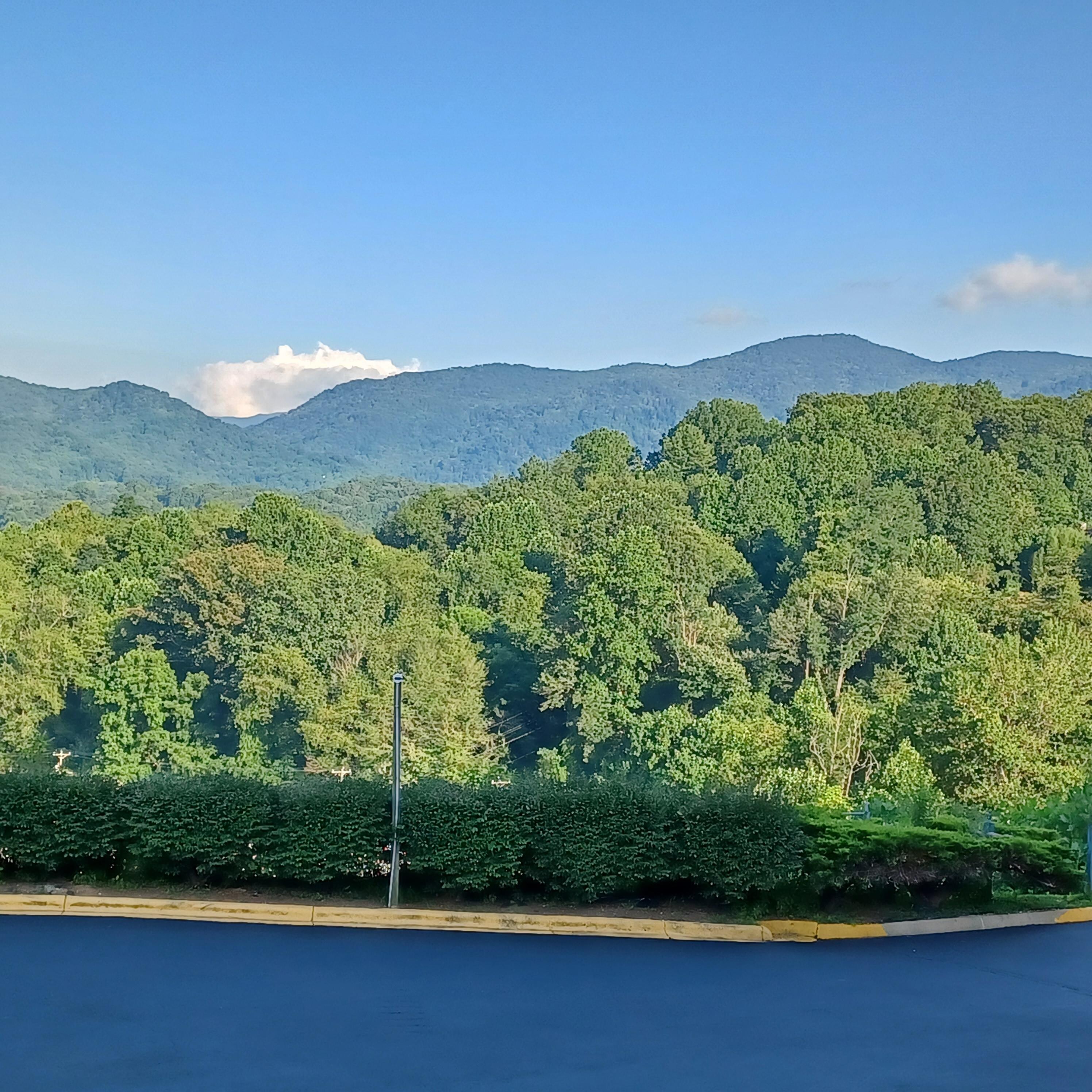 View from the deck