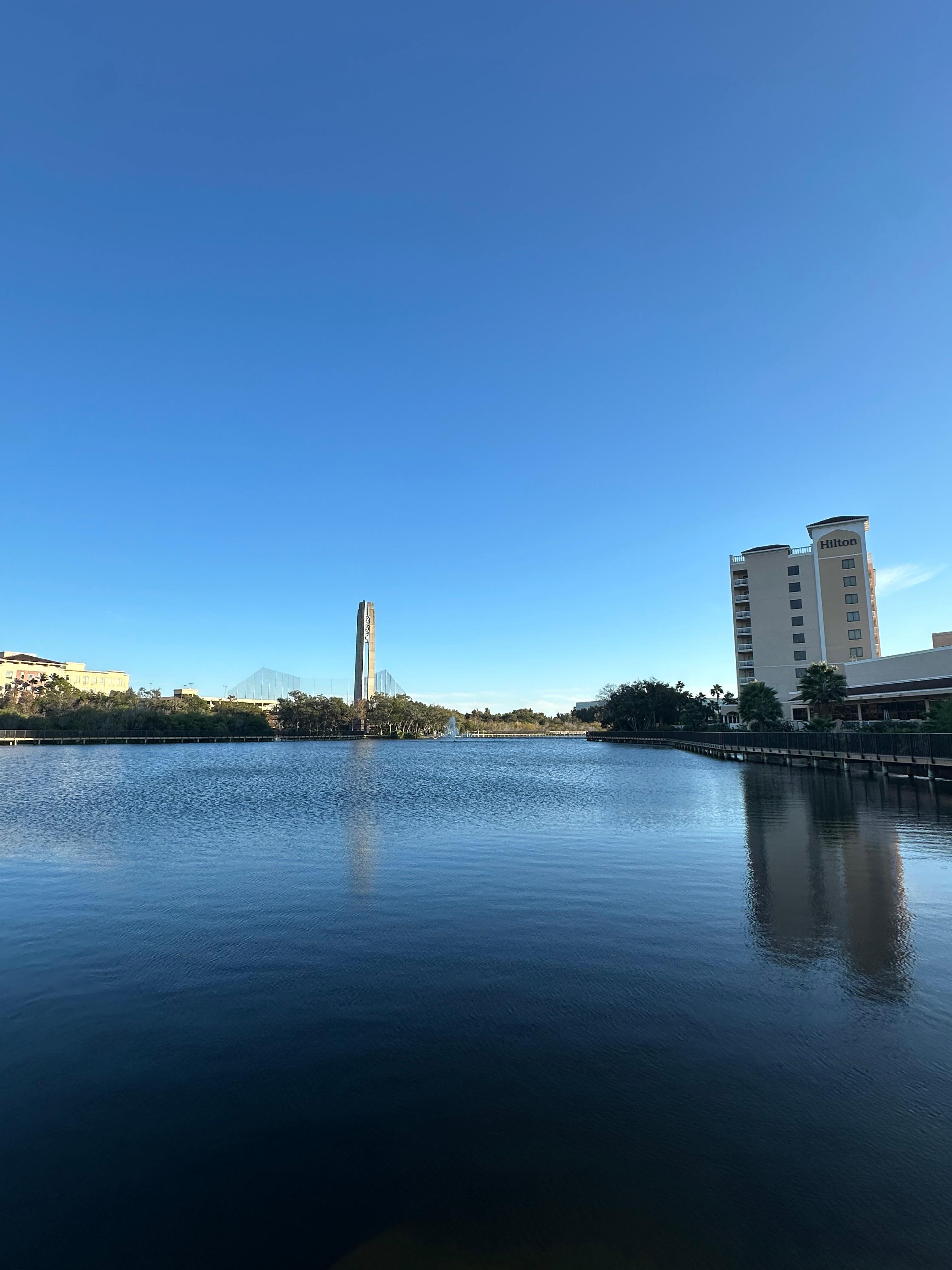 The grounds surrounding the hotel 