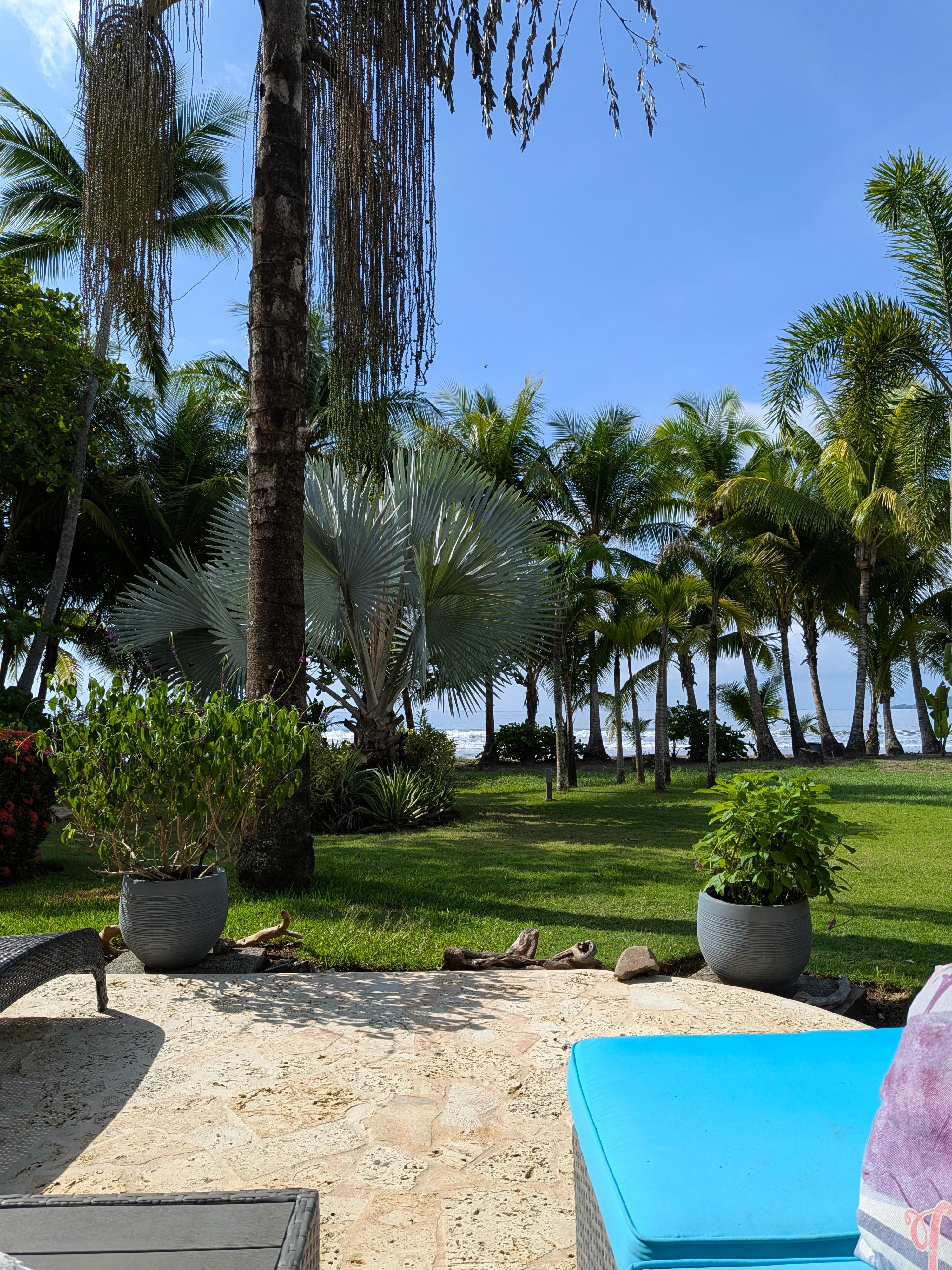 Looking out to beach/back yard