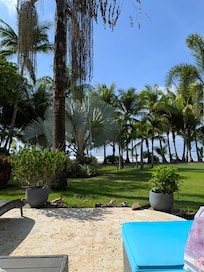 Looking out to beach/back yard