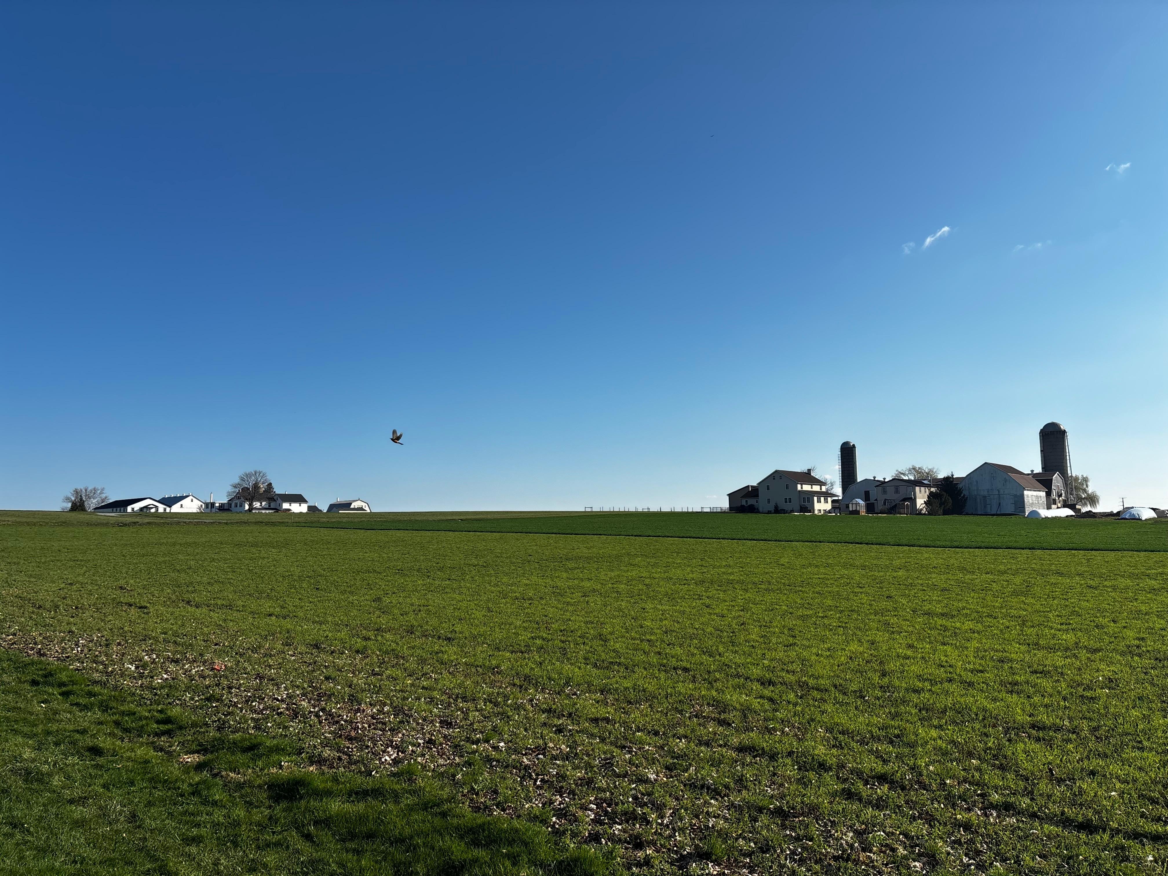 Beautiful view from the parking area