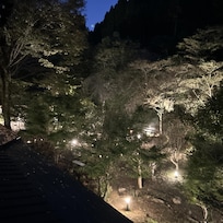 夜の庭園