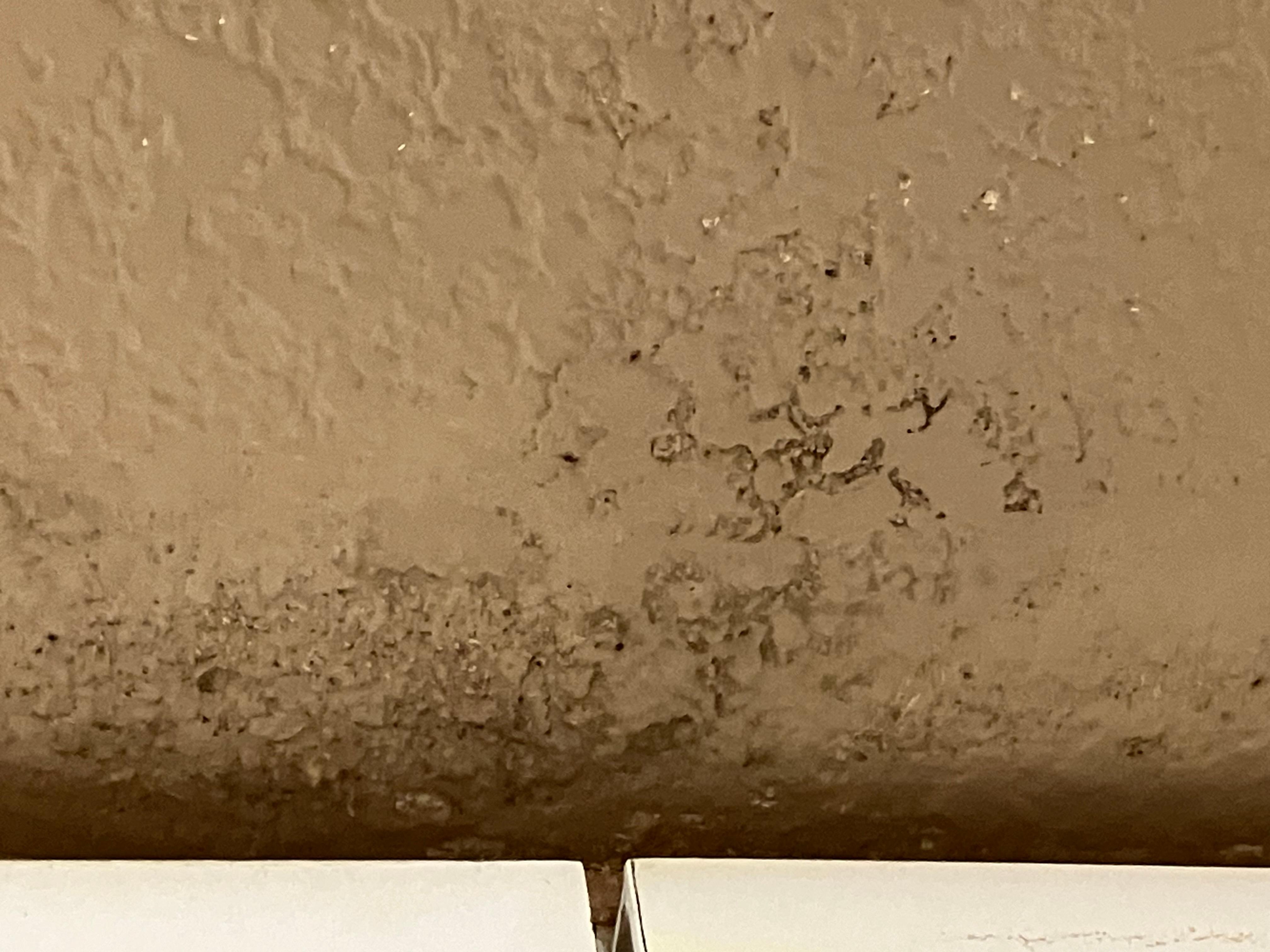 Mold over the kitchen cabinets.